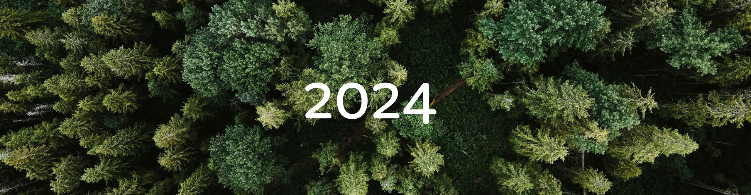 2024 - trees - sustainability goals