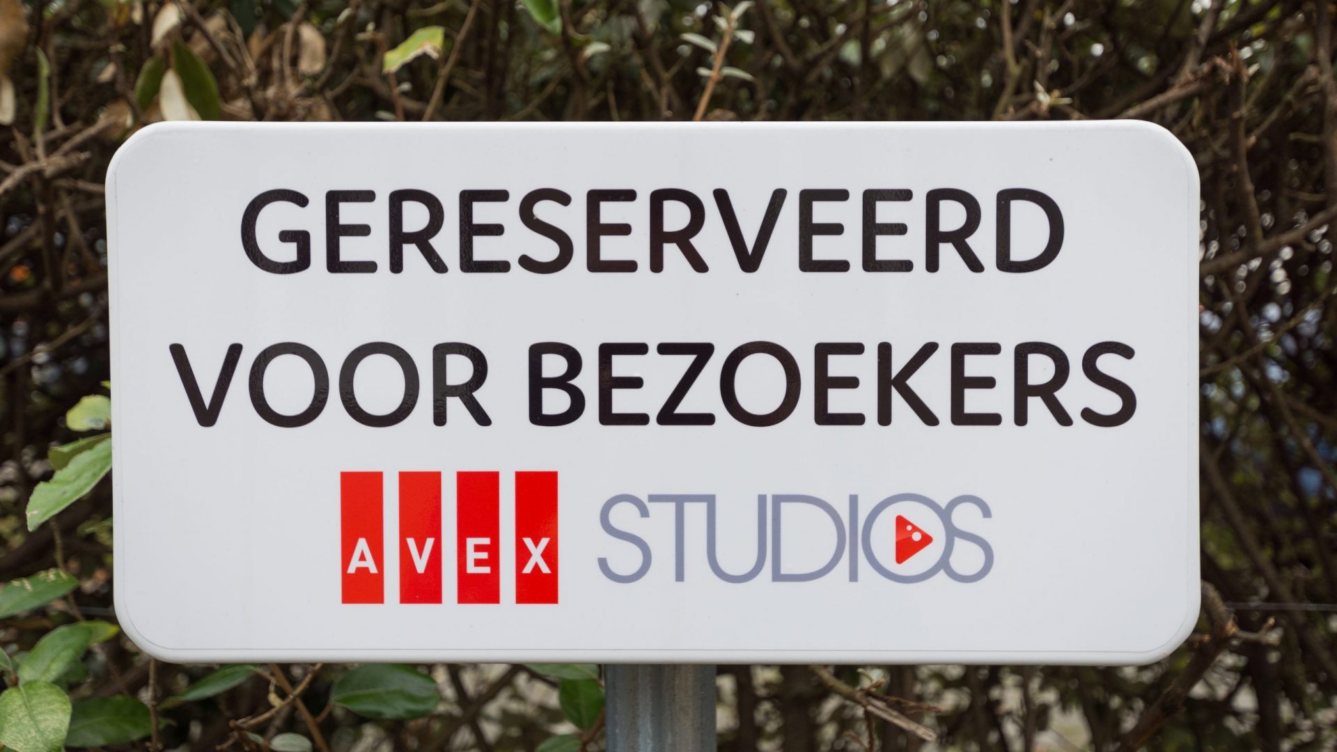 AVEX STUDIOS perkeerbord (2)