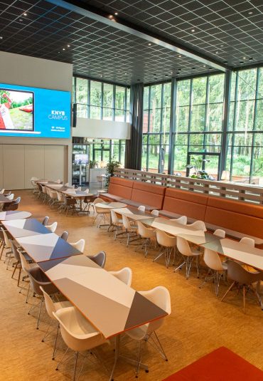 From inefficient technology to sustainable LED solution