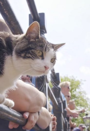 Een meeslepend verhaal vol natuurlijke ontmoetingen